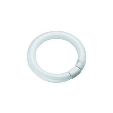 Tubo fluorescente Circular T9 22W