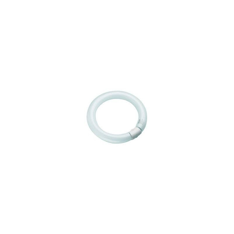 Tubo fluorescente Circular T9 22W