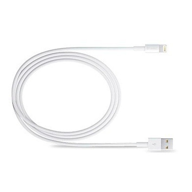 Cable USB para iPhone 5 / 5s / 6 / 6s / 7 / 8 / X